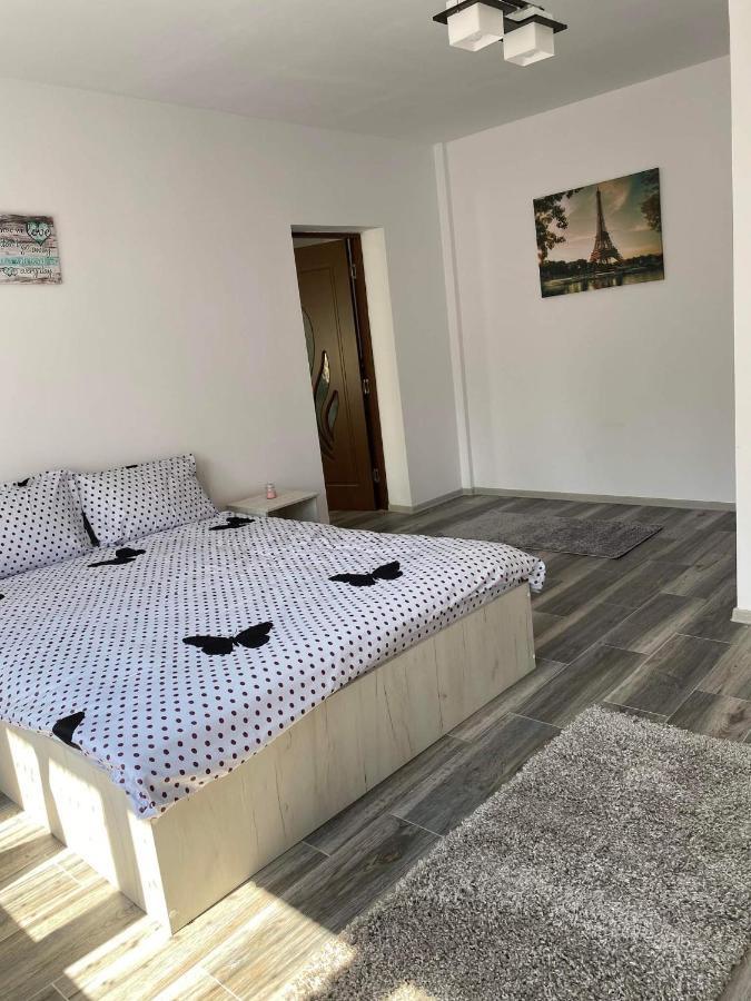 Dana Studio Tulcea Exterior foto